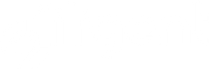 Diligent Robotics